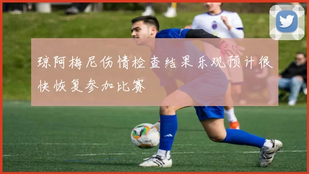琼阿梅尼伤情检查结果乐观预计很快恢复参加比赛